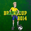 Brasilien-Cup 2014