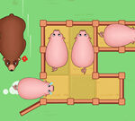 Slide Puzzle: Piggy Move